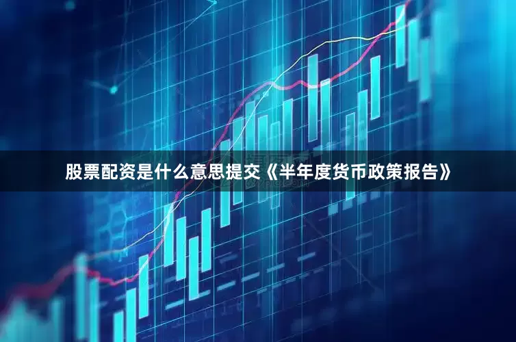 股票配资是什么意思提交《半年度货币政策报告》