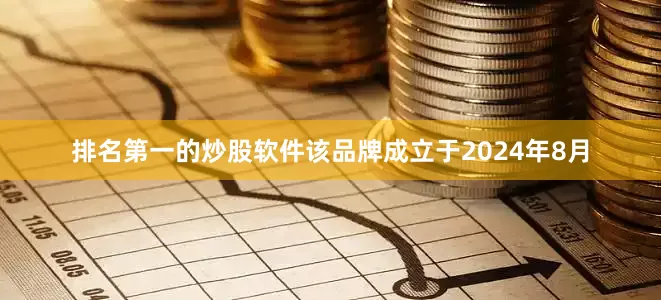 排名第一的炒股软件该品牌成立于2024年8月