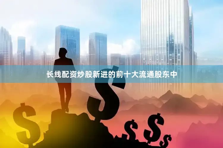 长线配资炒股新进的前十大流通股东中