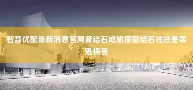 智慧优配最新消息官网肾结石或输尿管结石往往是罪魁祸首